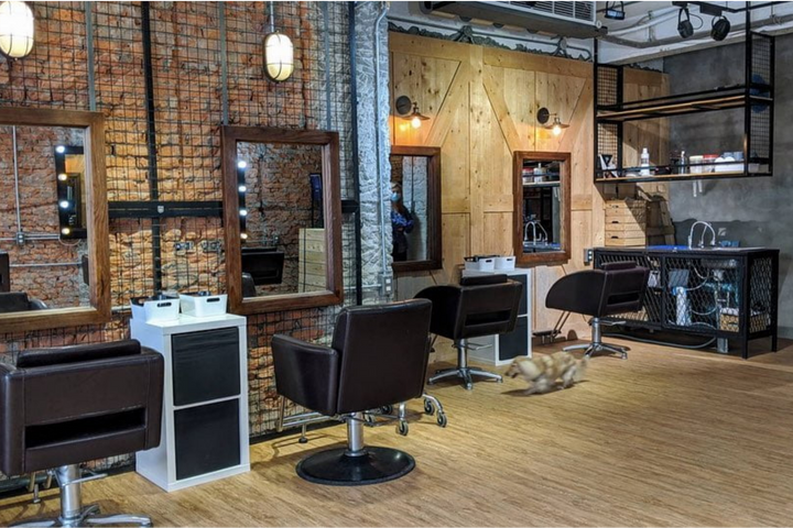 【板橋髮廊推薦】江子翠 1997’s Hair Salon 唯美燙髮專家!預約訂製你的專屬髮型